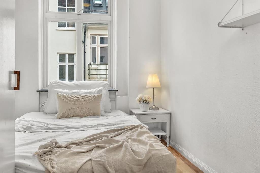 Kanskje Den Storste Airbnb-leiligheten I Sentrum! Appartement