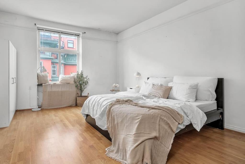Kanskje Den Storste Airbnb-leiligheten I Sentrum! Appartement