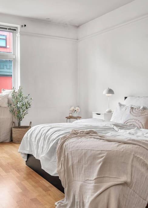 Kanskje Den Storste Airbnb-leiligheten I Sentrum! Appartement *