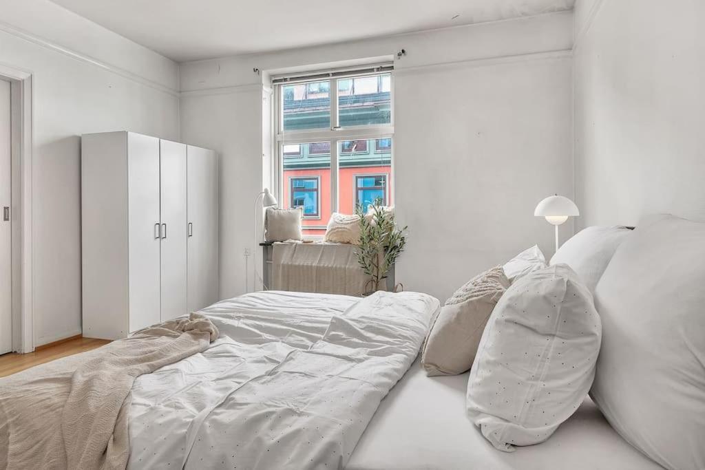 Kanskje Den Storste Airbnb-leiligheten I Sentrum! Appartement